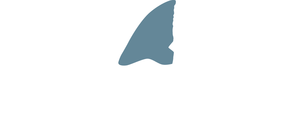 Shark Channel Logo
